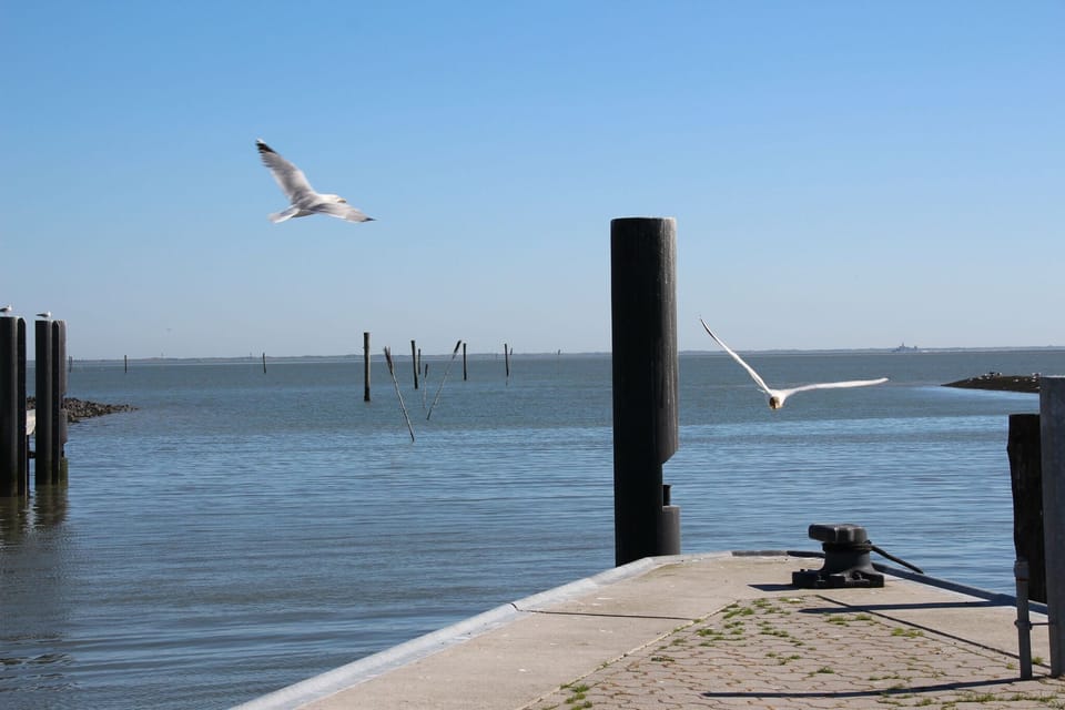Water view