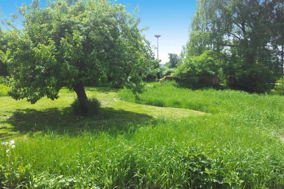 Garden [summer]