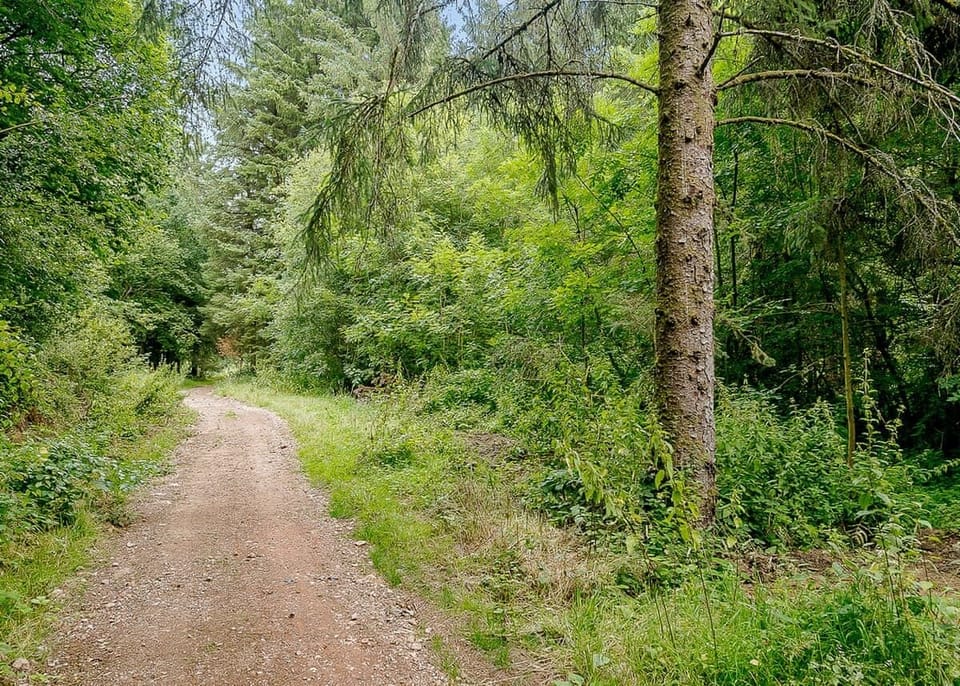 Hornbeam Country Park, Honiton