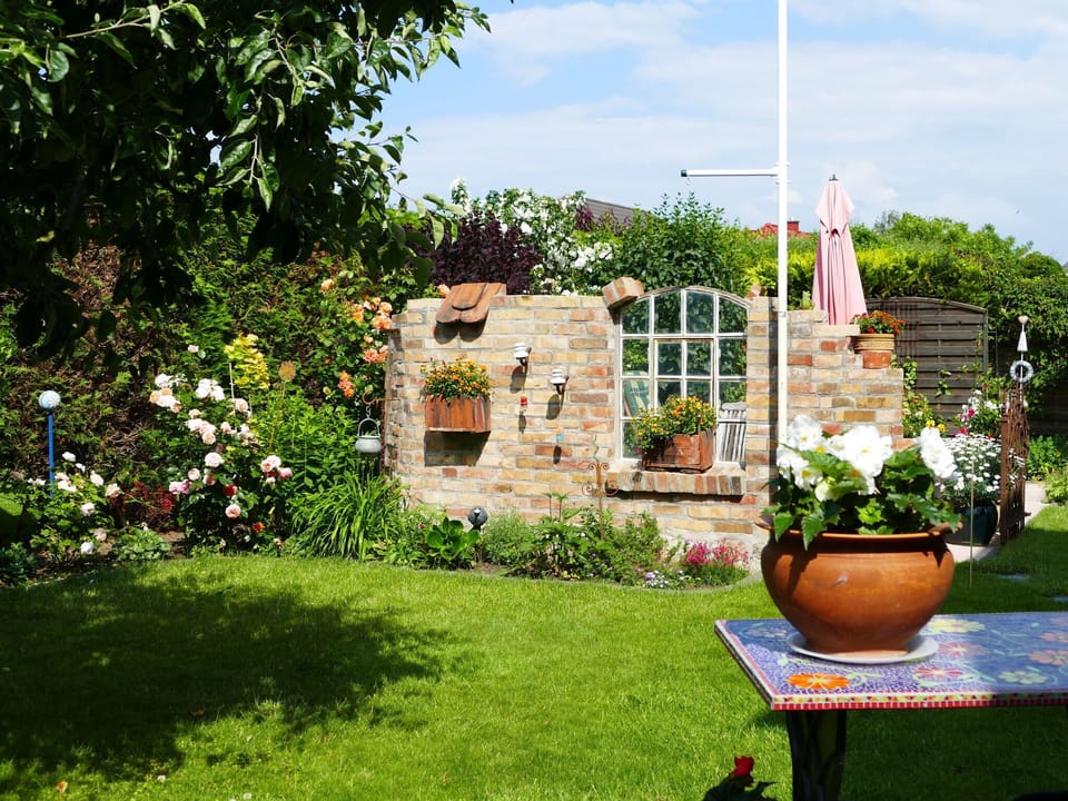 Garden [summer]