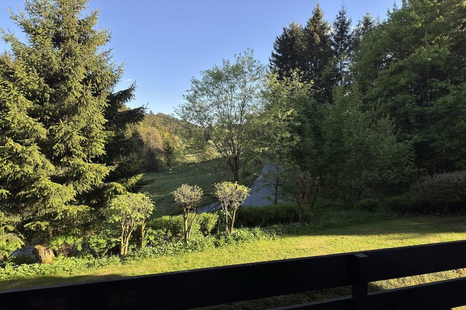 View from Holiday Home [summer]