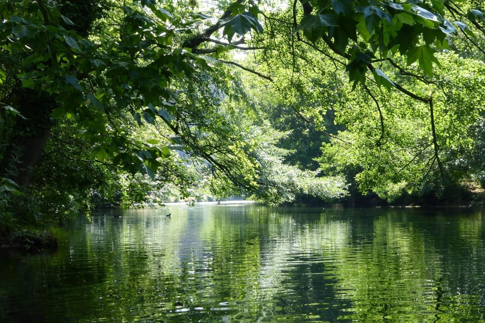 Region [summer] (>5 km)