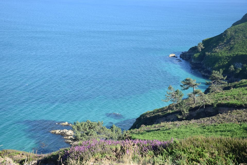 Region [summer] (>5 km)