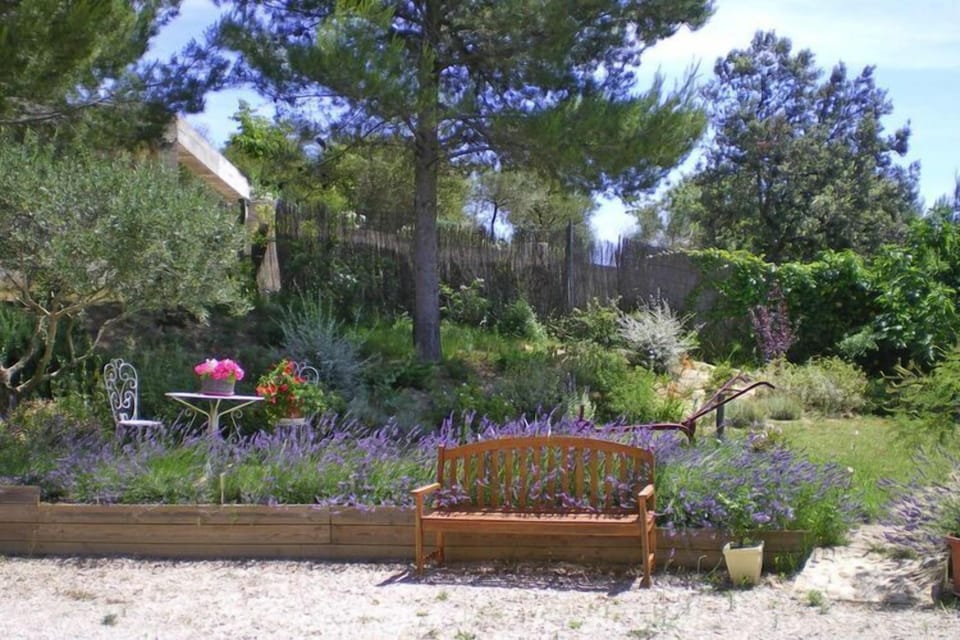 Garden [summer]