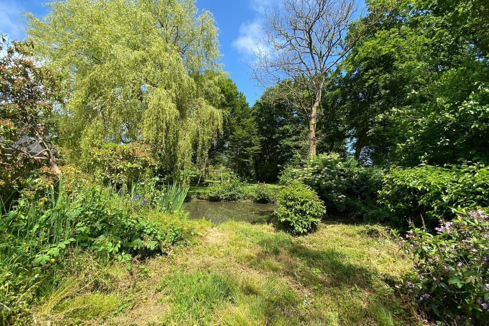 Garden [summer]