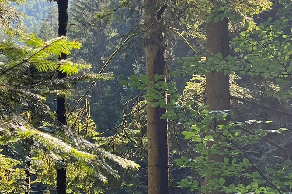 Surroundings [summer] (1-5 km)