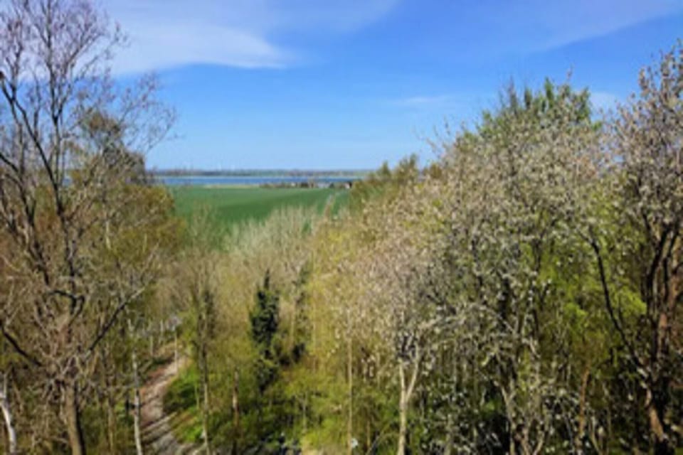 Surroundings [summer] (1-5 km)
