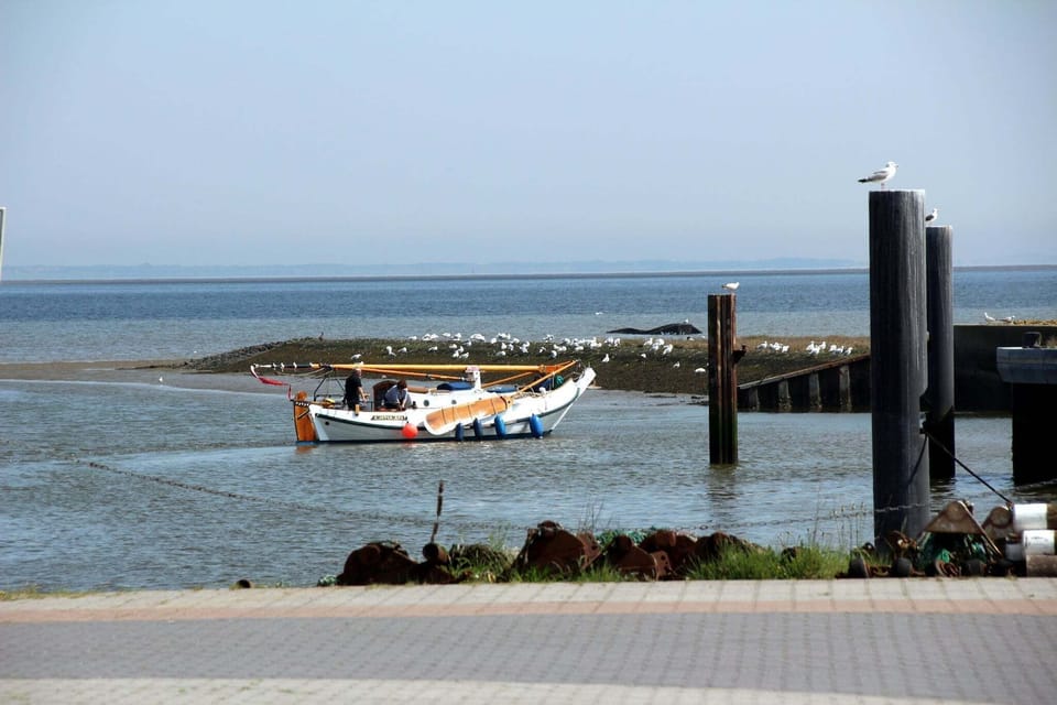 Surroundings [summer] (1-5 km)