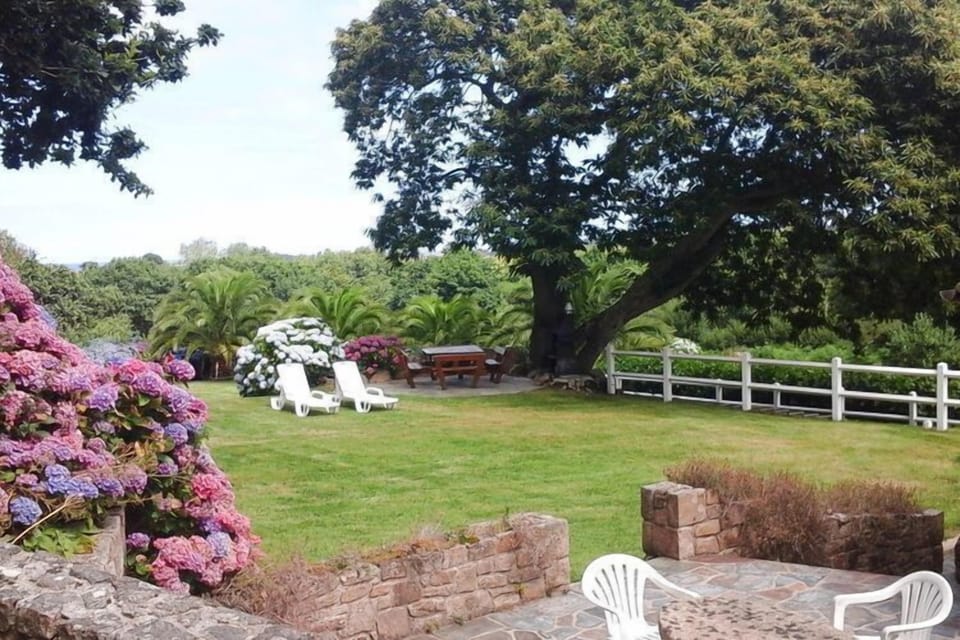 Garden [summer]