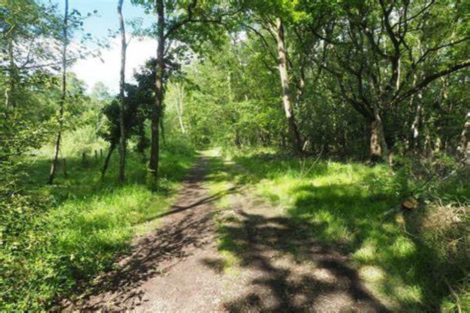 Surroundings [summer] (1-5 km)