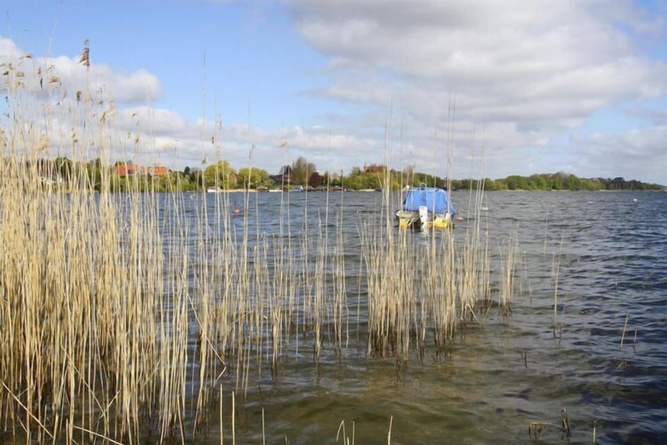 Immediate Surroundings [summer] (<1 km)
