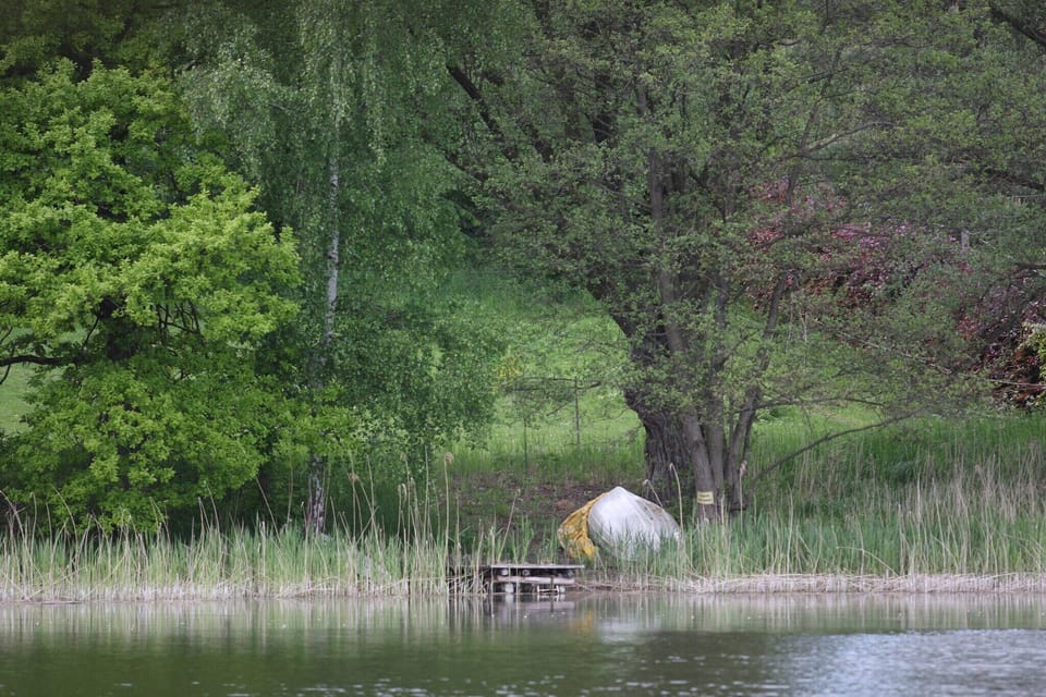 Immediate Surroundings [summer] (<1 km)