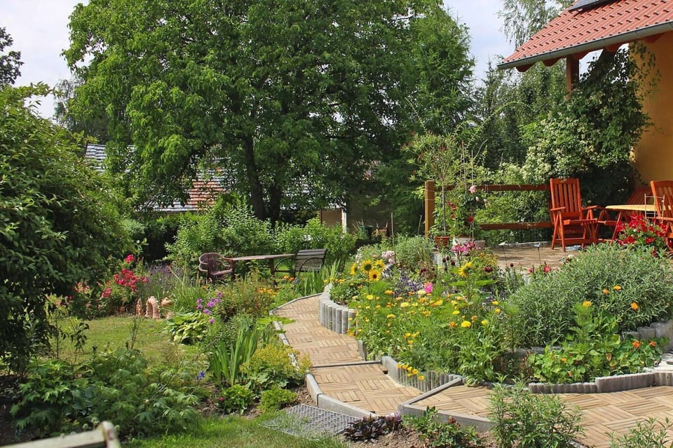 Garden [summer]