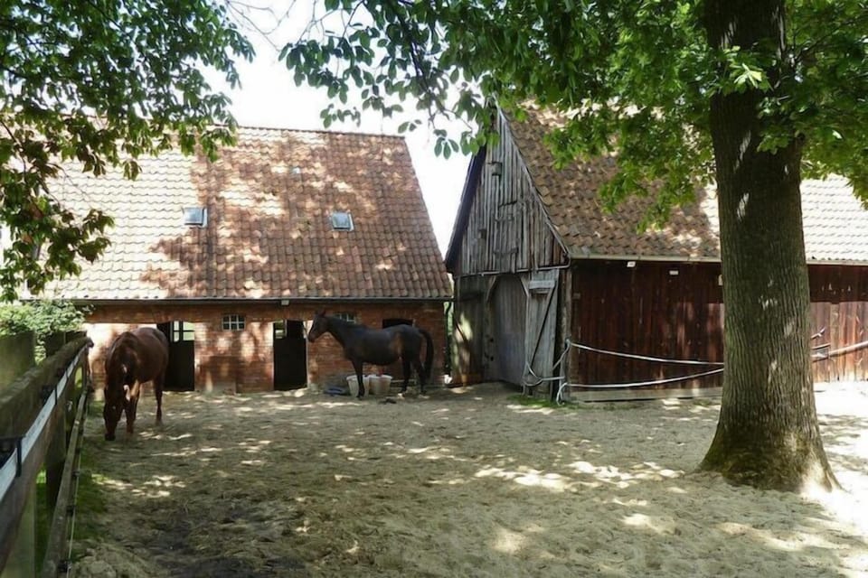 Holiday Home Exterior [summer]
