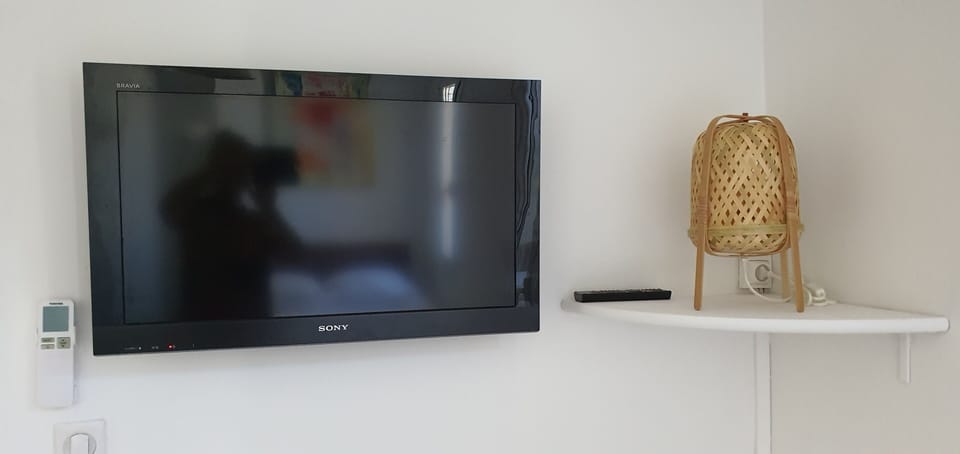 Television