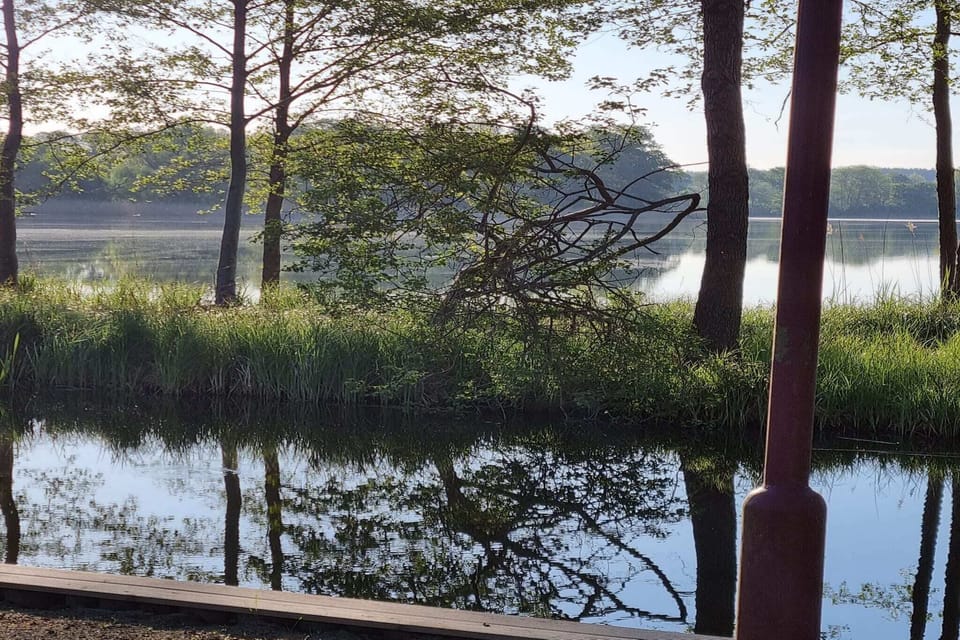 Immediate Surroundings [summer] (<1 km)