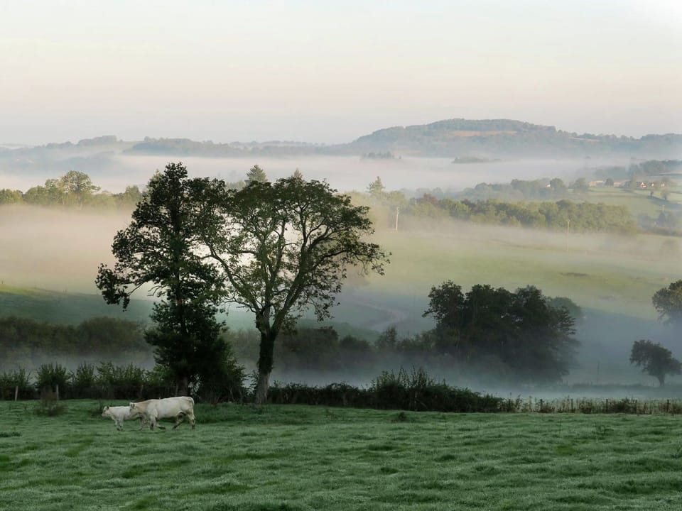 View from Holiday Home [summer]