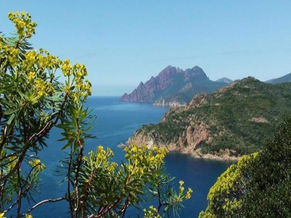 Region [summer] (>5 km)