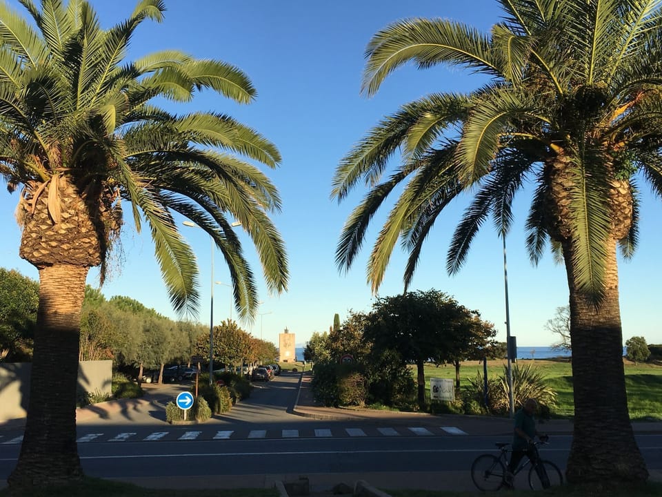 Immediate Surroundings [summer] (<1 km)