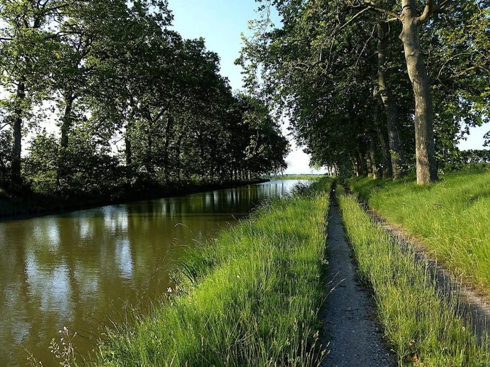 Region [summer] (>5 km)