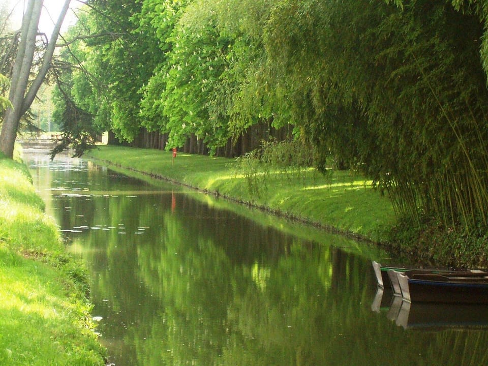 Region [summer] (>5 km)