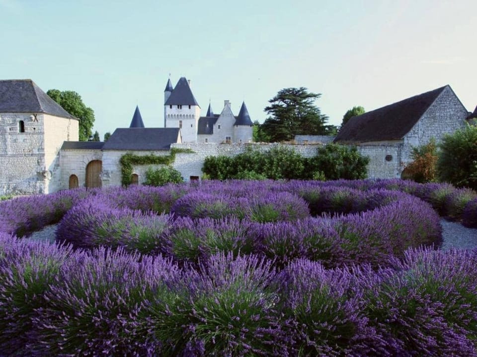 Surroundings [summer] (1-5 km)