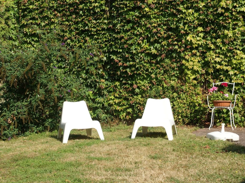 Garden [summer]