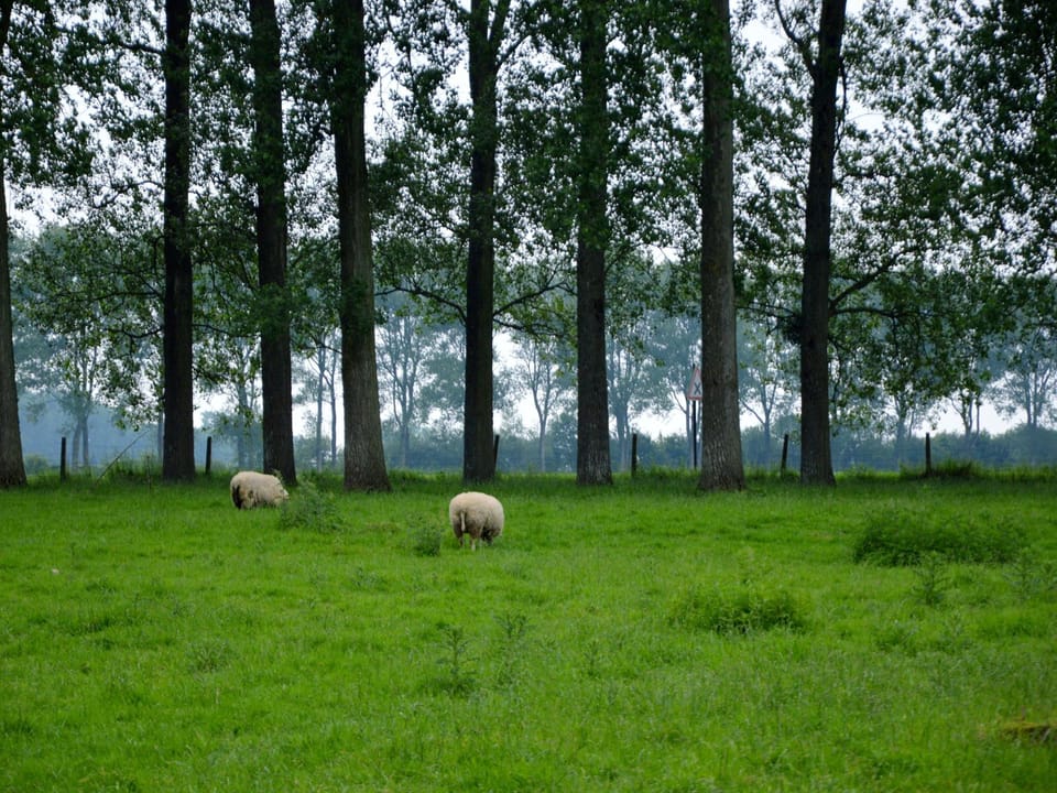 Immediate Surroundings [summer] (<1 km)