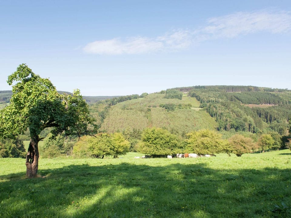 Immediate Surroundings [summer] (<1 km)