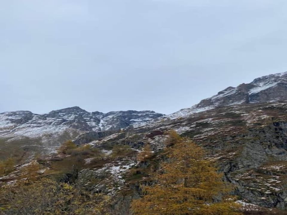 Region [summer] (>5 km)