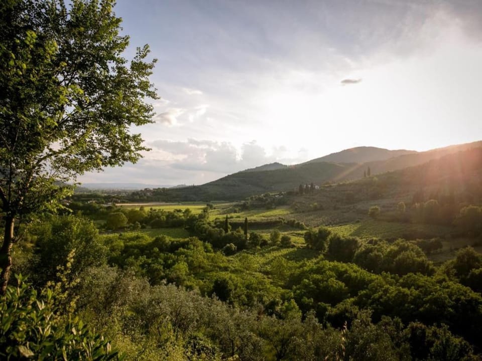 Region [summer] (>5 km)