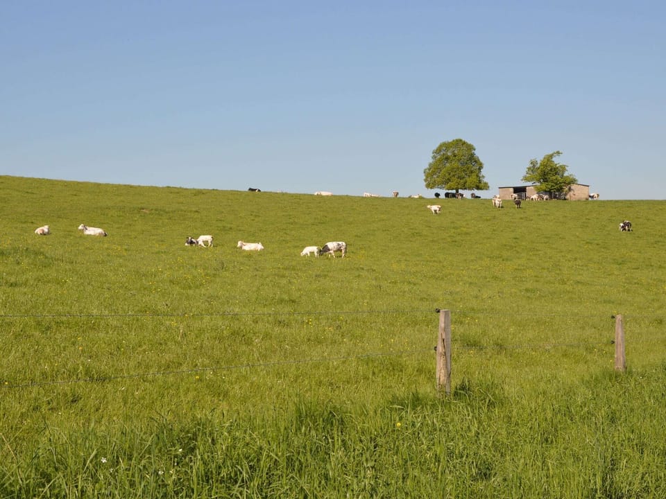 Surroundings [summer] (1-5 km)