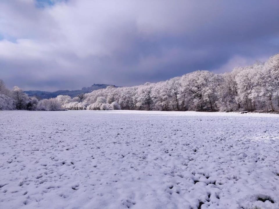 Region [winter] (>5 km)