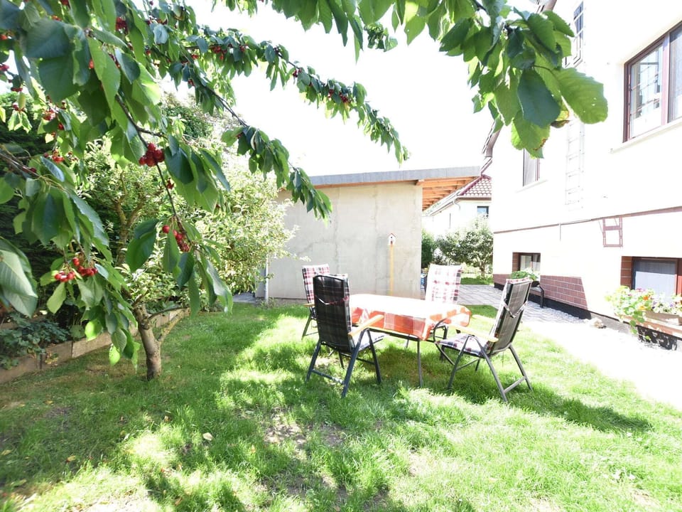 Garden [summer]