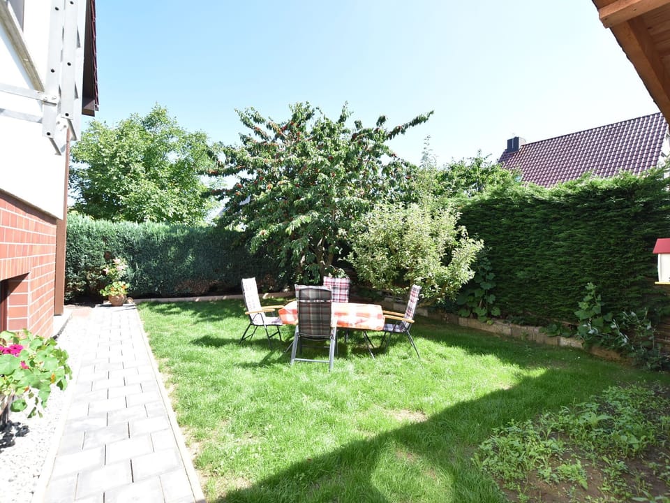 Garden [summer]