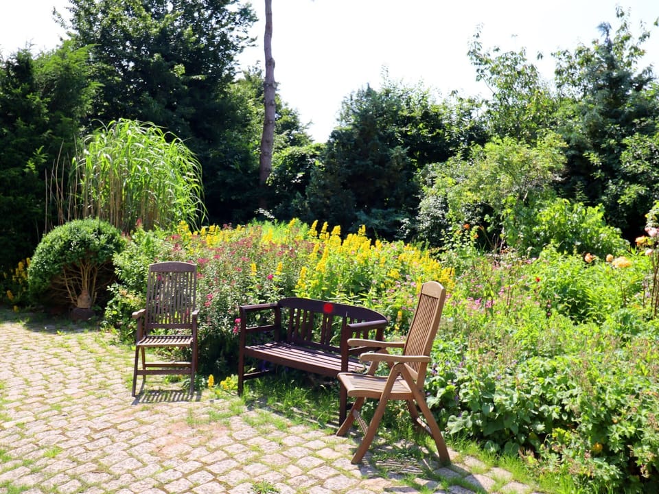 Garden [summer]