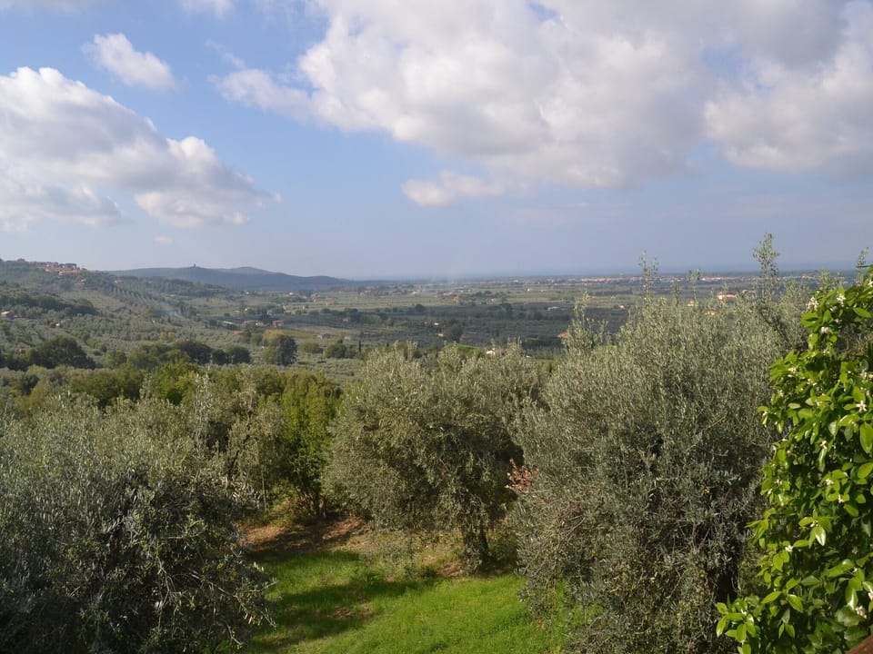 View from Holiday Home [summer]