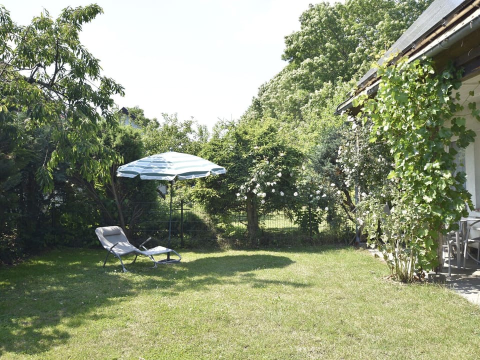 Garden [summer]