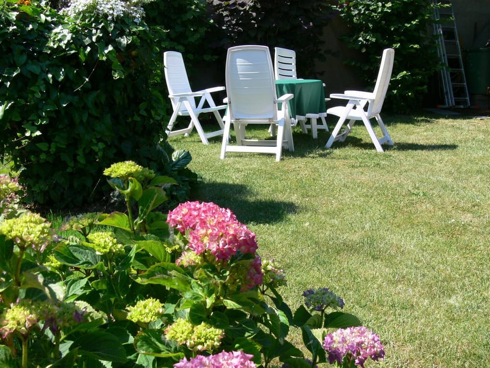Garden [summer]