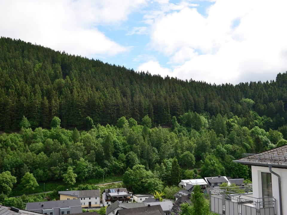 View from Holiday Home [summer]