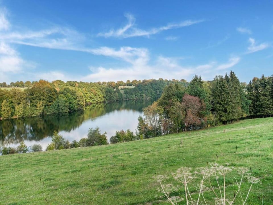 Region [summer] (>5 km)