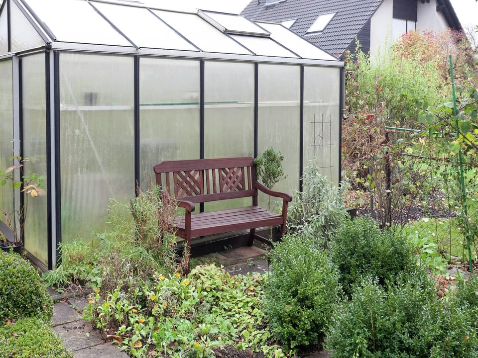 Garden [summer]
