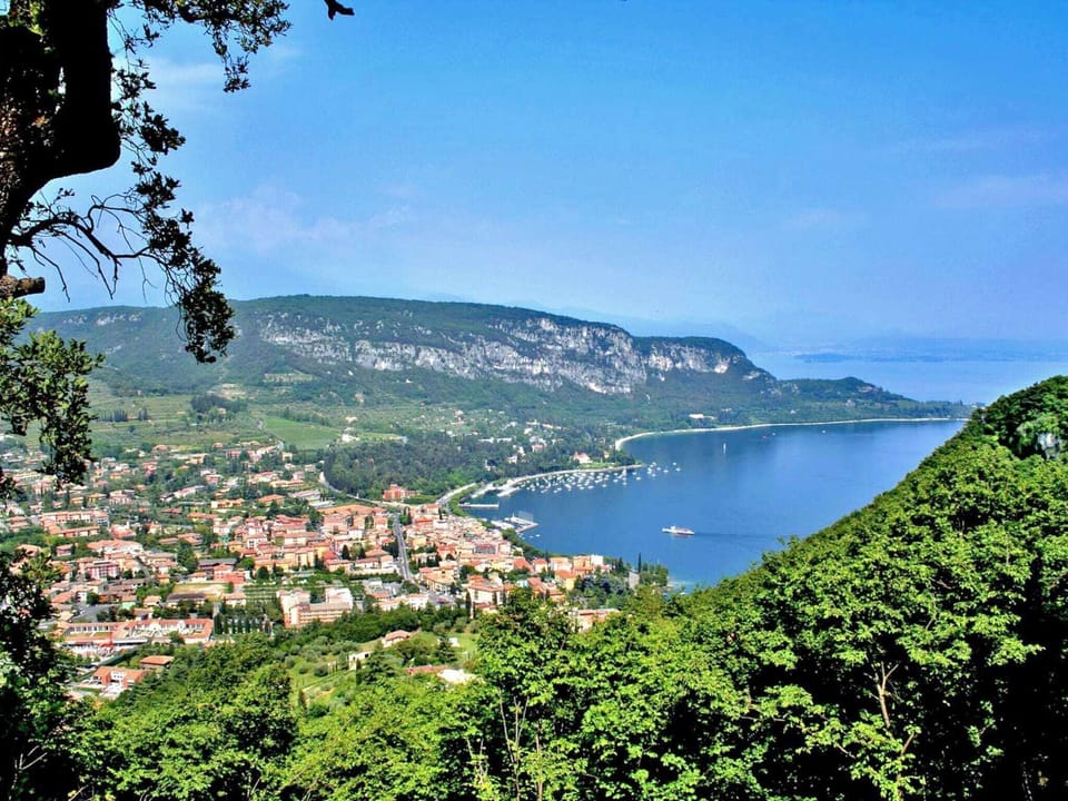 Region [summer] (>5 km)