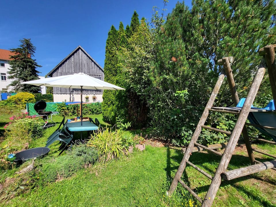 Garden [summer]