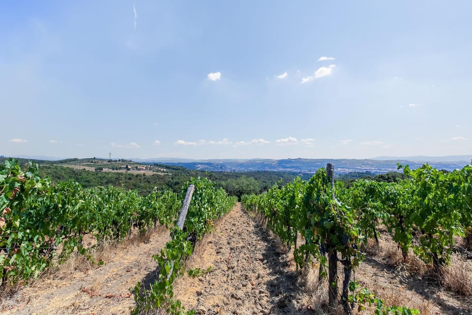 Immediate Surroundings [summer] (<1 km)