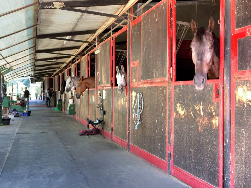 Holiday Home Facilities and Services