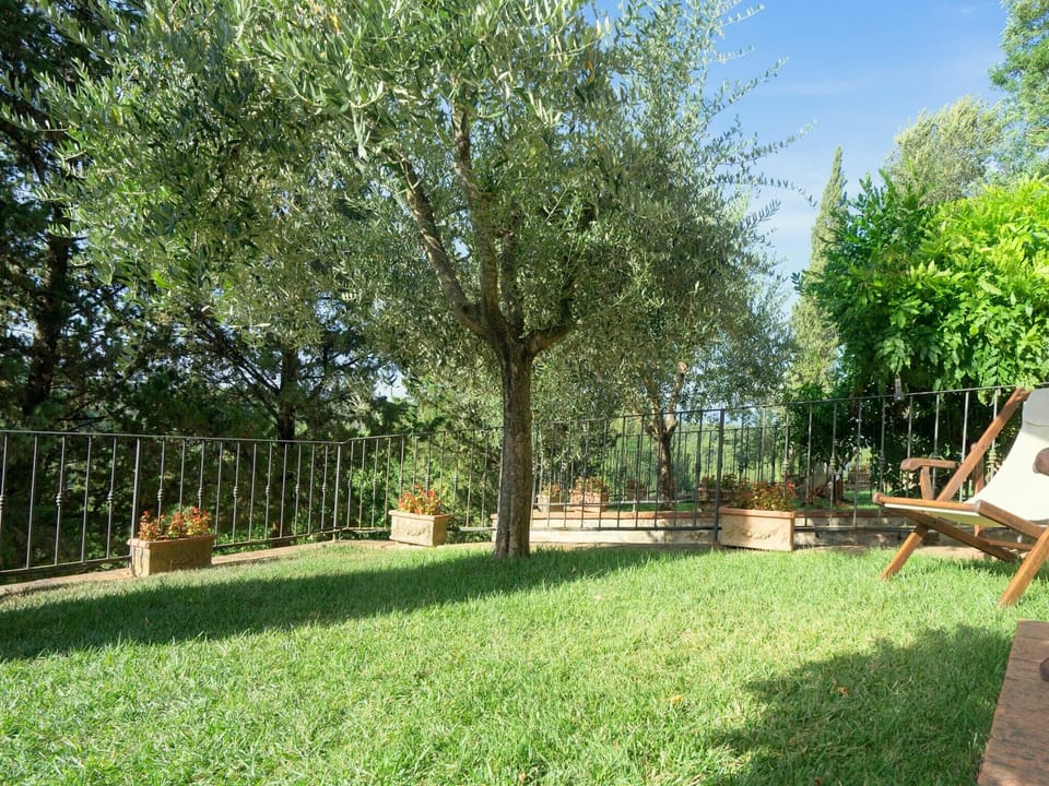 Garden [summer]