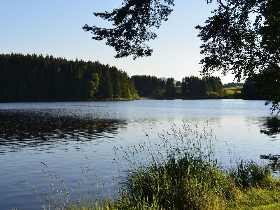 Region [summer] (>5 km)