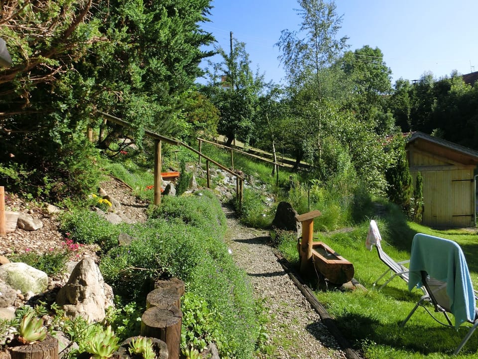 View from Holiday Home [summer]