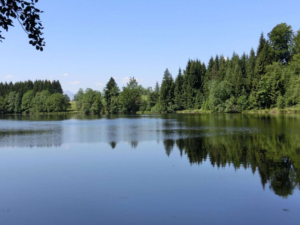Surroundings [summer] (1-5 km)